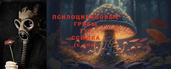mdpv Бронницы