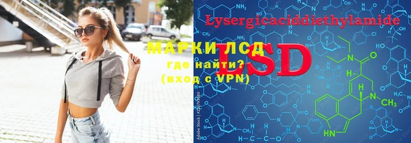 spice Бородино