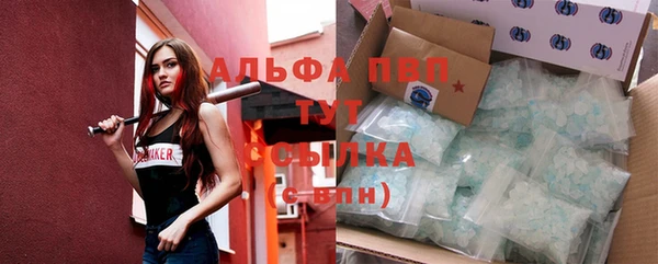 spice Бородино