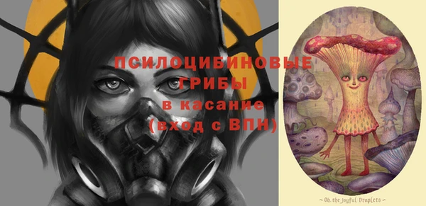 mdpv Бронницы